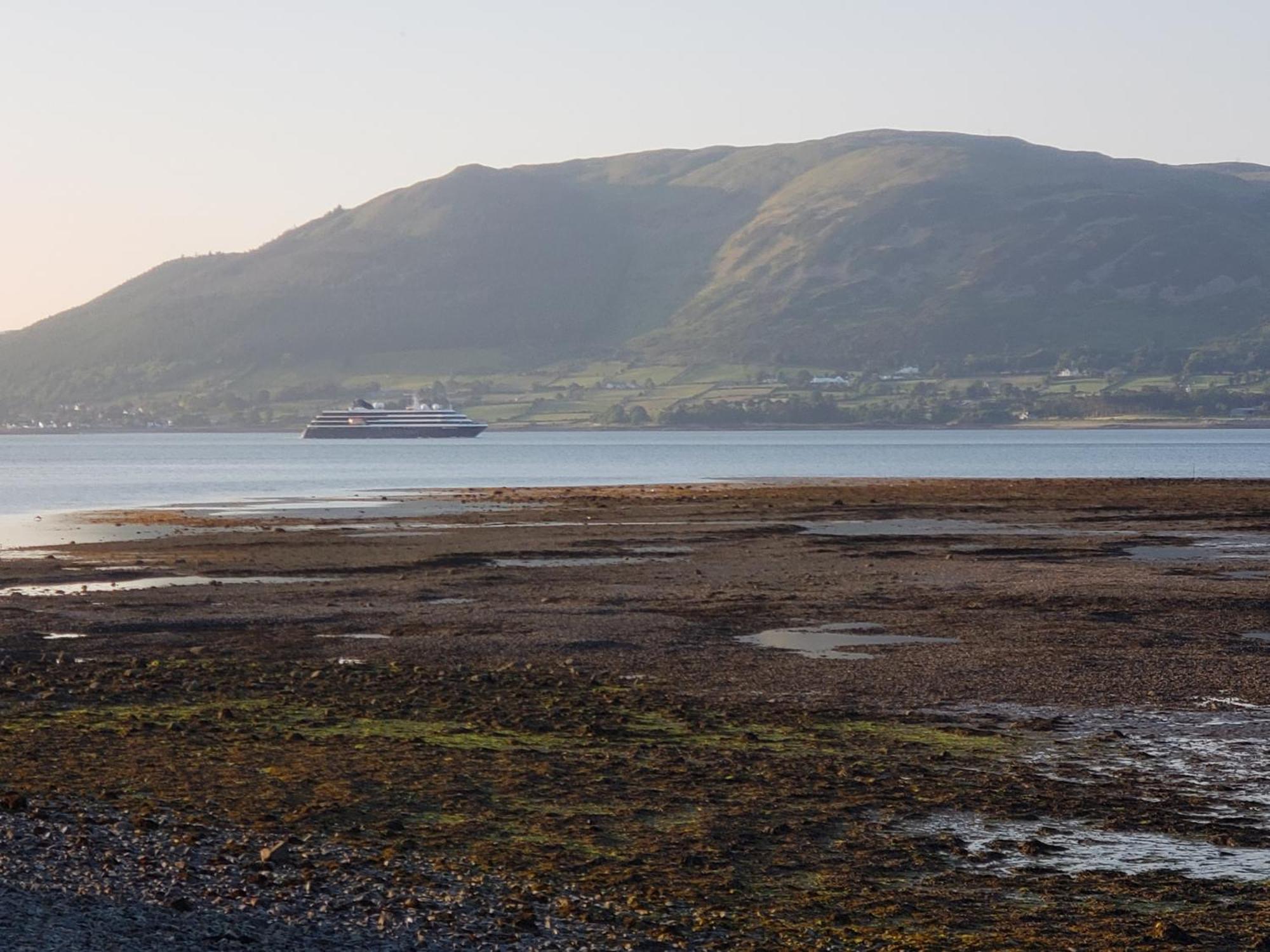 The Oystercatcher Lodge Carlingford Eksteriør bilde