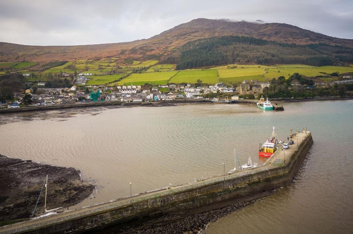 The Oystercatcher Lodge Carlingford Eksteriør bilde
